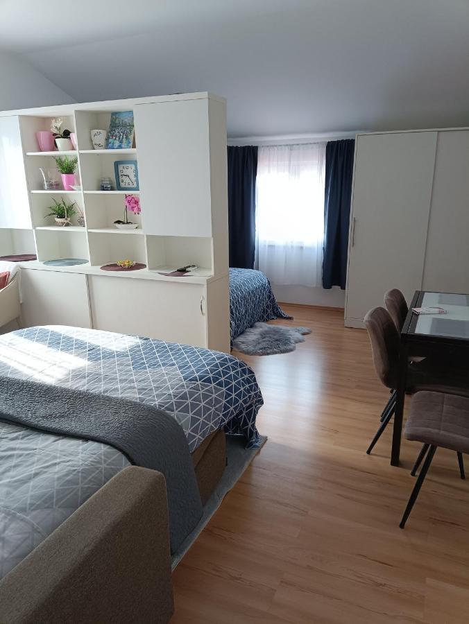 Apartment Dorina Buje Exterior photo
