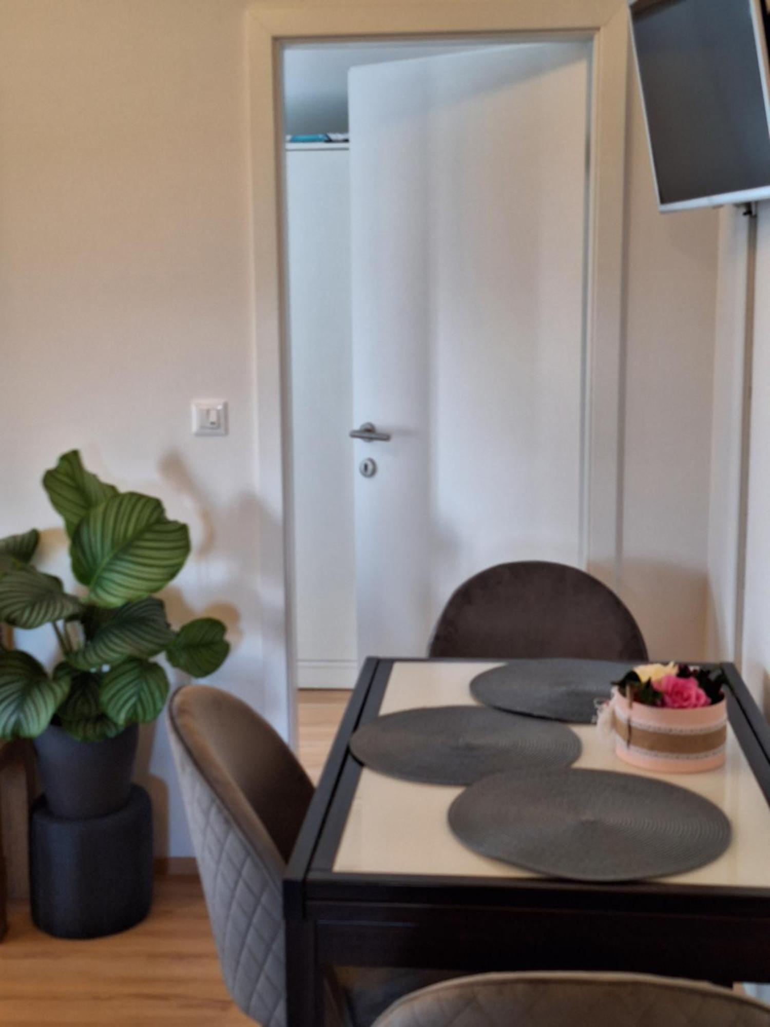 Apartment Dorina Buje Exterior photo