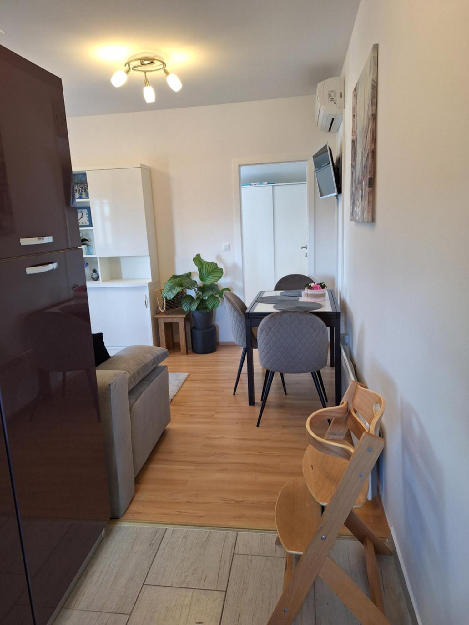 Apartment Dorina Buje Exterior photo