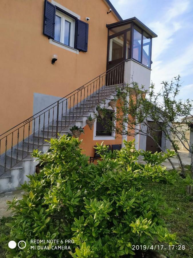 Apartment Dorina Buje Exterior photo