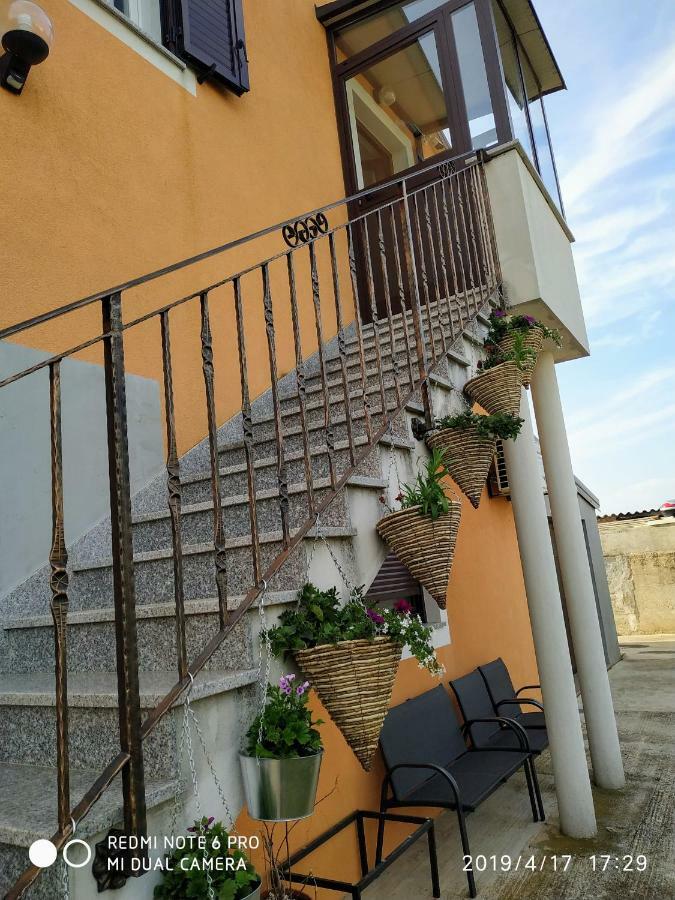 Apartment Dorina Buje Exterior photo